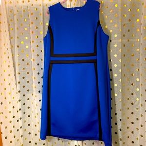 Calvin Klein Sheath Dress